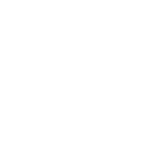 S Logo